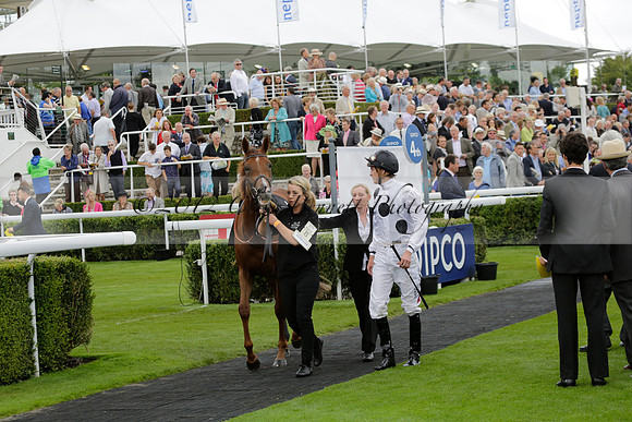 Race 6 Goodwood The British Stallion Studs Turf Club E.B.F. Fillies Stakes. 20130731. Race winner Ribbons owner Elite Racing Club