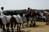 Silver Fox v Wintershall in a July 4 Goal Polo match 2013.07.17