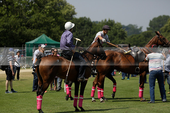 Zacara v Talandracas in a Veuve Clicquot Gold Cup Polo Match 2013.07.18