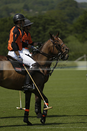 Four Quarters Orange v Montana in a Cicero Cup Polo match 2013.06.06