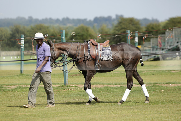 Maiz Dulce (green) v River (blue) in a Uber Polo Midsummer 12 goal polo match on Wednesday 21 August 2013 at Cowdray park Polo Club on Ambersham 2.  www.polopictures.co.uk