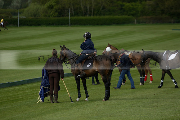 Las Estrellas v Shoreline in a May 4 Goal Spring Cup Polo match 2013.05.15