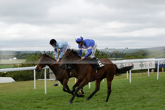 Race 6 Goodwood The British Stallion Studs Turf Club E.B.F. Fillies Stakes. 20130731. Race winner Ribbons owner Elite Racing Club