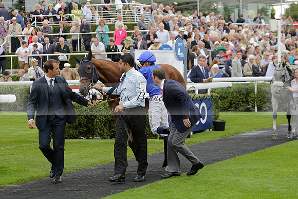 Race 6 Goodwood The British Stallion Studs Turf Club E.B.F. Fillies Stakes. 20130731. Race winner Ribbons owner Elite Racing Club