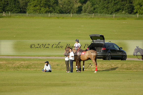 Shoreline v Cowdray Vikings in a Easebourne Cup Semi-final Polo match 2013.06.07