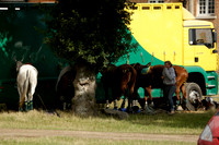 Wilde Cup polo match played between Mount Loftus (red) vs New Forest (green) At the New Forest Polo Club on Sunday 18 August 2013