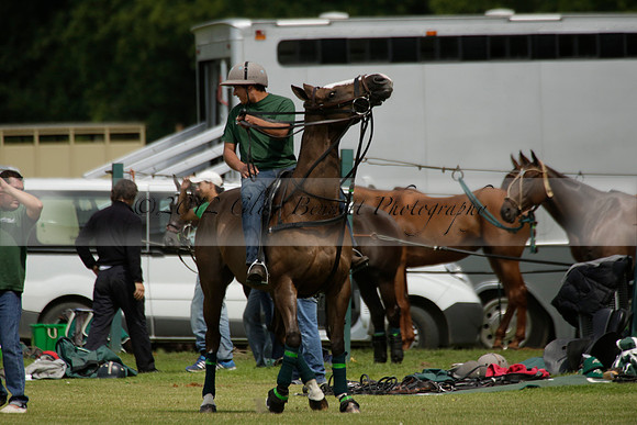 Dubai v La Bamba de Areco in a Veuve Clicquot Gold Cup Polo Match 2013.07.04