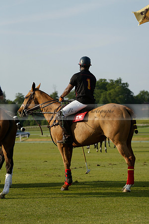 Shoreline v Cowdray Vikings in a Easebourne Cup Semi-final Polo match 2013.06.07