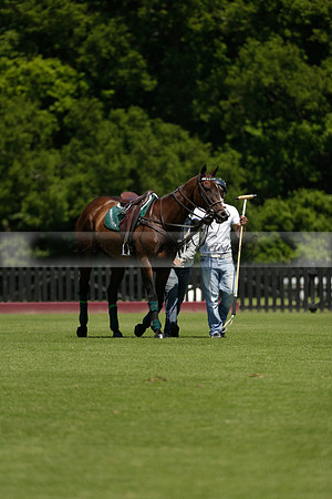 Black Bears v Salkeld in a Cartier Queens Cup polo match 2013.06.05