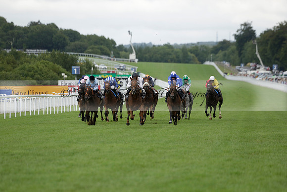 Race 6 Goodwood The British Stallion Studs Turf Club E.B.F. Fillies Stakes. 20130731. Race winner Ribbons owner Elite Racing Club