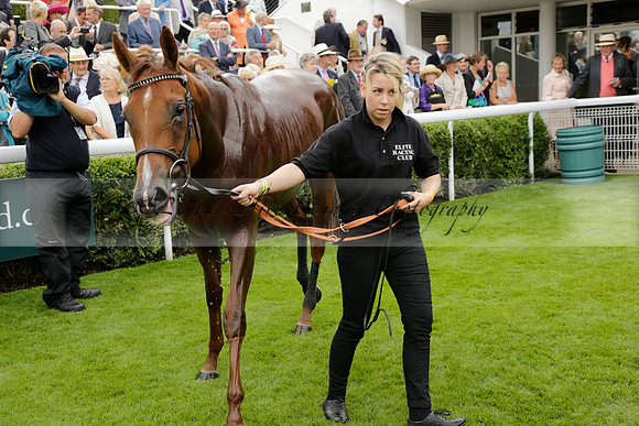 Race 6 Goodwood The British Stallion Studs Turf Club E.B.F. Fillies Stakes. 20130731. Race winner Ribbons owner Elite Racing Club