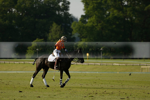 Shoreline v Cowdray Vikings in a Easebourne Cup Semi-final Polo match 2013.06.07