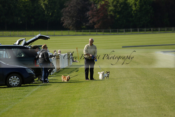Lost Boys Cowdray Vikings in the Jaeger Le Coultre Duke of Sutherland Cup Subsidiary Final Polo match 2013.06.06