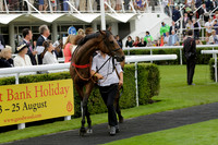 Race 6 Goodwood The British Stallion Studs Turf Club E.B.F. Fillies Stakes. 20130731. Race winner Ribbons owner Elite Racing Club