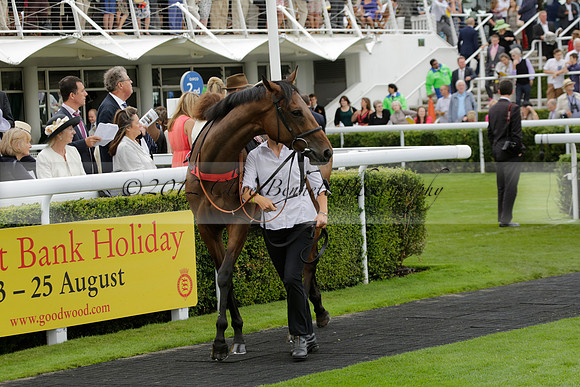 Race 6 Goodwood The British Stallion Studs Turf Club E.B.F. Fillies Stakes. 20130731. Race winner Ribbons owner Elite Racing Club