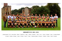 team pic Captioned2013