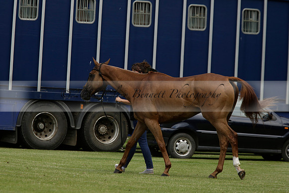 Dubai v La Bamba de Areco in a Veuve Clicquot Gold Cup Polo Match 2013.07.04