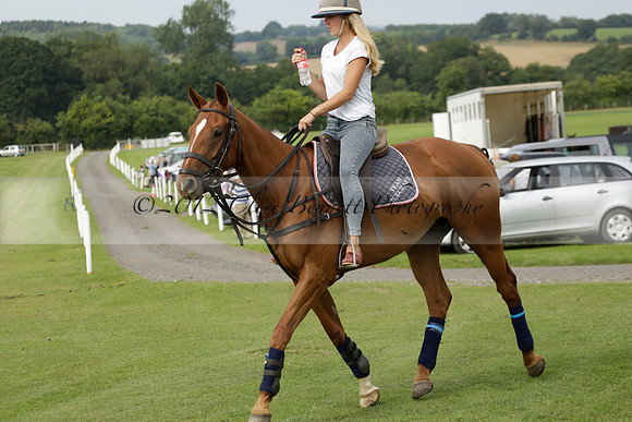 Beau Design v Boscom in an August Rother Cup 4 goal polo match at Cowdray Park Polo Club on Wednesday 07 August 2013