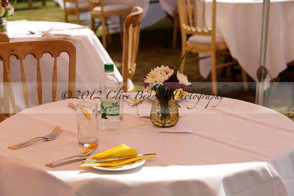Zacara v Talandracas in a Veuve Clicquot Gold Cup Polo Match 2013.07.18
