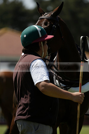 Black Bears v Salkeld in a Cartier Queens Cup polo match 2013.06.05