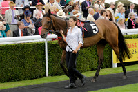 Race 6 Goodwood The British Stallion Studs Turf Club E.B.F. Fillies Stakes. 20130731. Race winner Ribbons owner Elite Racing Club