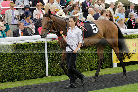 Race 6 Goodwood The British Stallion Studs Turf Club E.B.F. Fillies Stakes. 20130731. Race winner Ribbons owner Elite Racing Club