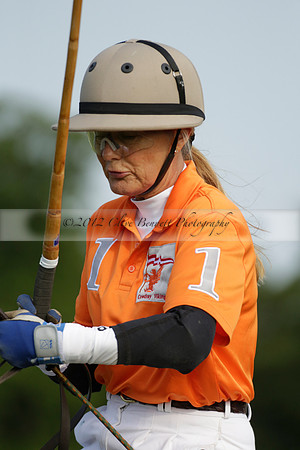 Shoreline v Cowdray Vikings in a Easebourne Cup Semi-final Polo match 2013.06.07