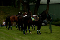 Maiz Dulce v Four Quarters Black in a Benson Cup Polo match 2013.06.19