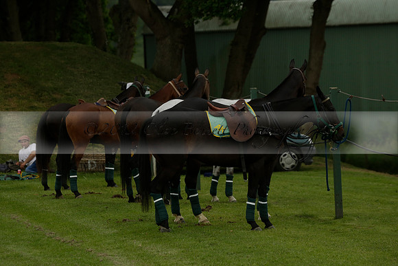 Maiz Dulce v Four Quarters Black in a Benson Cup Polo match 2013.06.19
