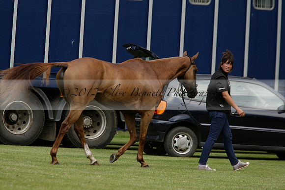 Dubai v La Bamba de Areco in a Veuve Clicquot Gold Cup Polo Match 2013.07.04