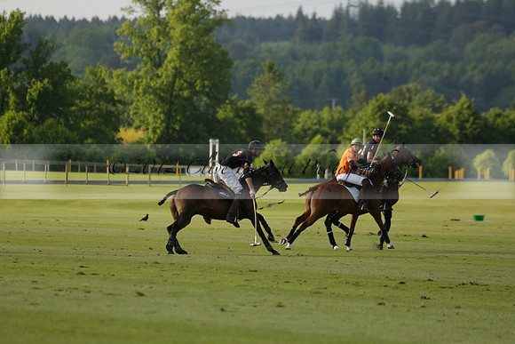 Shoreline v Cowdray Vikings in a Easebourne Cup Semi-final Polo match 2013.06.07