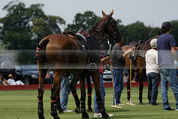 Talandracas v UAE Polo Team in a Veuve Clicquot Gold Cup Polo Match 2013.07.13