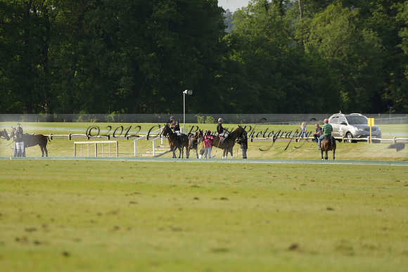 Shoreline v Cowdray Vikings in a Easebourne Cup Semi-final Polo match 2013.06.07