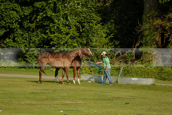 Shoreline v Cowdray Vikings in a Easebourne Cup Semi-final Polo match 2013.06.07
