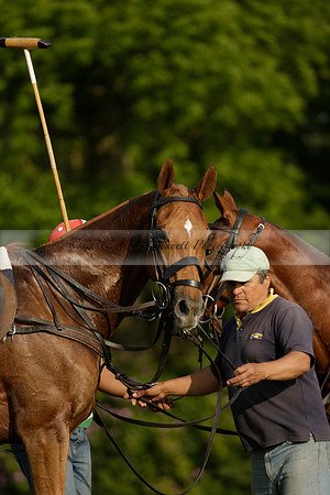 Shoreline v Cowdray Vikings in a Easebourne Cup Semi-final Polo match 2013.06.07
