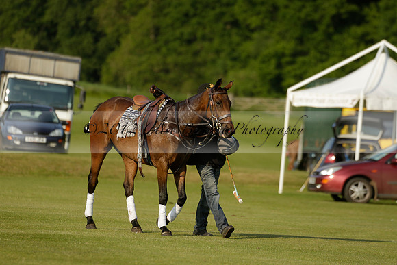 Shoreline v Cowdray Vikings in a Easebourne Cup Semi-final Polo match 2013.06.07