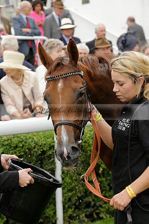 Race 6 Goodwood The British Stallion Studs Turf Club E.B.F. Fillies Stakes. 20130731. Race winner Ribbons owner Elite Racing Club