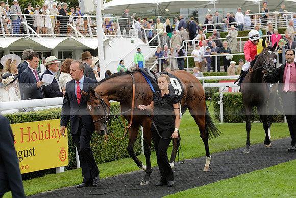 Race 6 Goodwood The British Stallion Studs Turf Club E.B.F. Fillies Stakes. 20130731. Race winner Ribbons owner Elite Racing Club