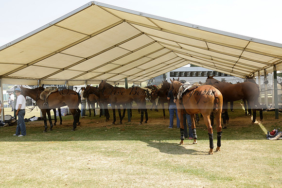 Zacara v Talandracas in a Veuve Clicquot Gold Cup Polo Match 2013.07.18