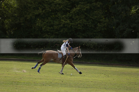 Thumos v Putney Architects in the -4 Goal Final at The Pro-Am City Polo Championships on Sunday 1 September 2013 at Ascot Park Polo Club. www.polopictures.co.uk