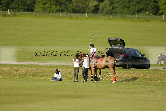 Shoreline v Cowdray Vikings in a Easebourne Cup Semi-final Polo match 2013.06.07