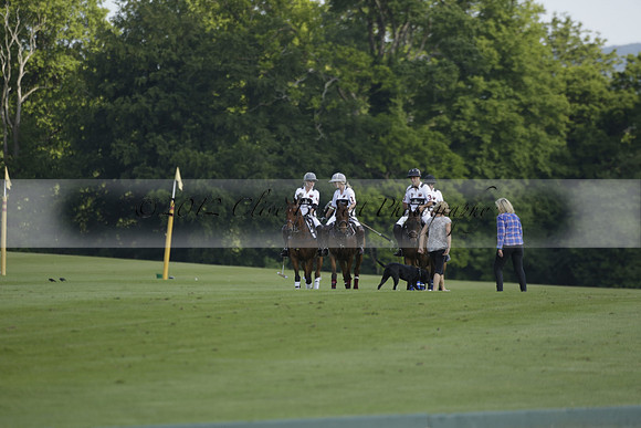 Emlor v Shoreline in a Easebourne Cup Polo match 2013.06.05