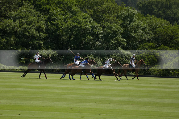 UAE Polo v El Remanso in a Veuve Clicquot Gold Cup Polo Match 2013.07.05