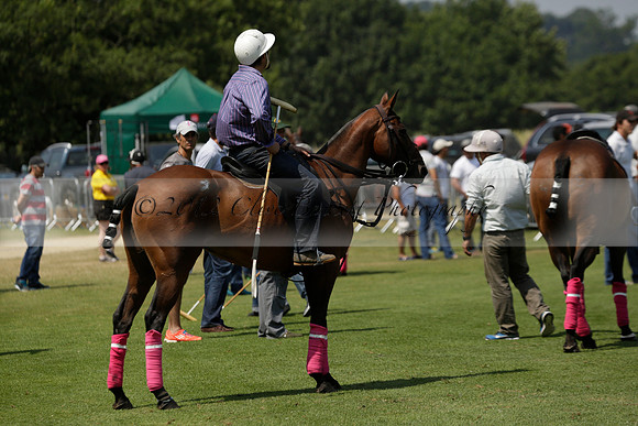 Zacara v Talandracas in a Veuve Clicquot Gold Cup Polo Match 2013.07.18
