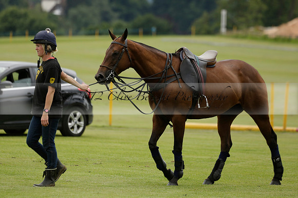 Emlor v Witley Park in a 1921Cup Polo match 2013.07.03