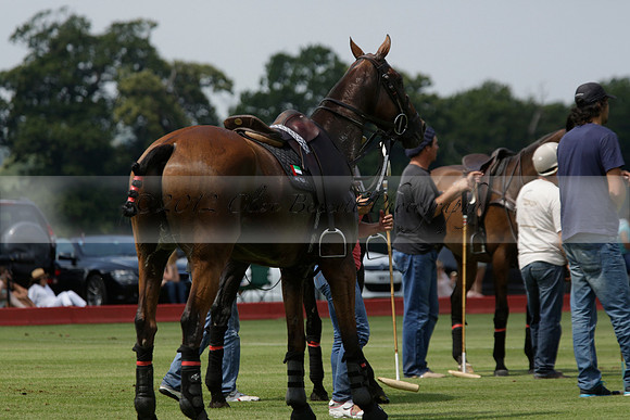 Talandracas v UAE Polo Team in a Veuve Clicquot Gold Cup Polo Match 2013.07.13