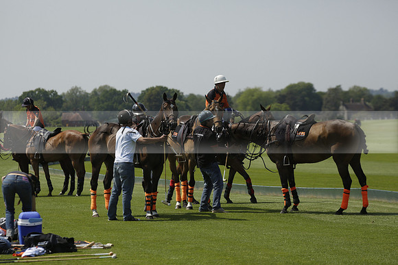 Four Quarters Orange v Montana in a Cicero Cup Polo match 2013.06.06