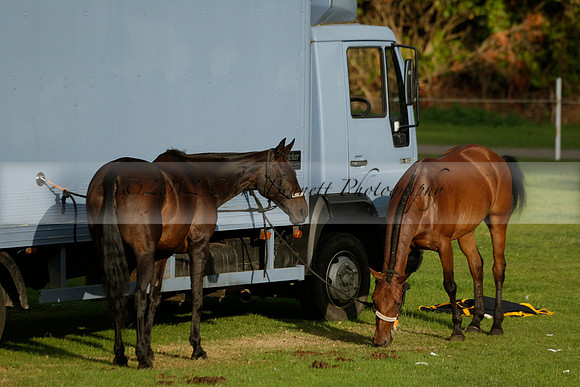 The Junior HPA / Polo Club Gannon 1  polo match and presentations at Cowdray Park Polo Club on Friday 09  August 2013