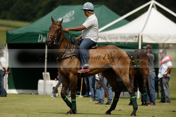 Dubai v La Bamba de Areco in a Veuve Clicquot Gold Cup Polo Match 2013.07.04