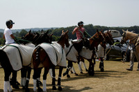 Silver Fox v Wintershall in a July 4 Goal Polo match 2013.07.17